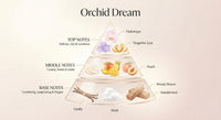 Orchid Dream
